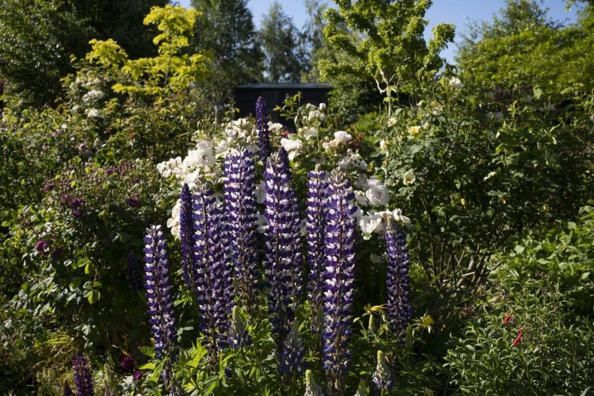 Villa Tiny Away Benger Garden 2 By Tiny Away Millers Flat Exterior foto